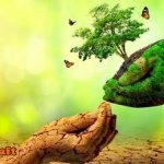 تأثير الميثانول على البيئة