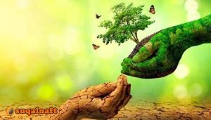 تأثير الميثانول على البيئة