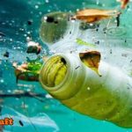 أنواع التلوث المائي