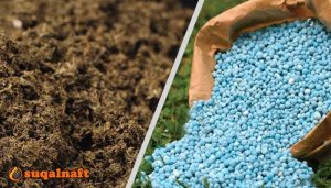 الفرق بين الأسمدة الحيوانية والكيميائية