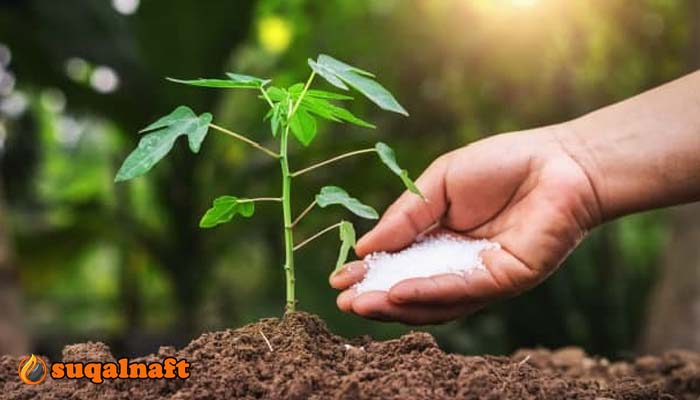 طرق زيادة النيتروجين التربة