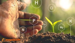 طرق زيادة النيتروجين في التربة