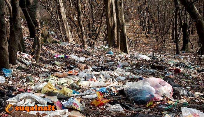 تأثير البلاستيك البيئة