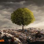 تأثير البلاستيك على البيئة