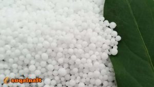 اهمية نترات البوتاسيوم