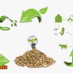 كيف يتم انتاج الطاقة الحيوية