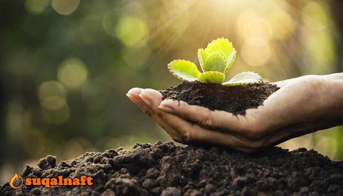 ما هو الأسمدة المضادة للملوحة